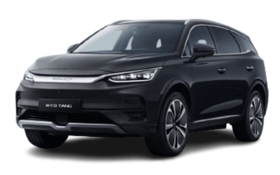 Tang 2024-
